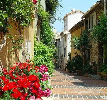 Cosy And Bright Studio, Full Equipment, Earth Old Town * Antibes
